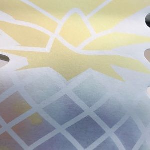 Meet your Posher, Faye